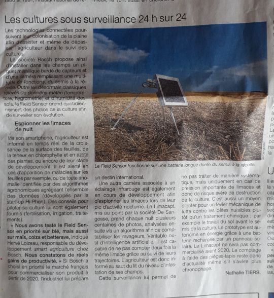 De Sangosse dans le presse