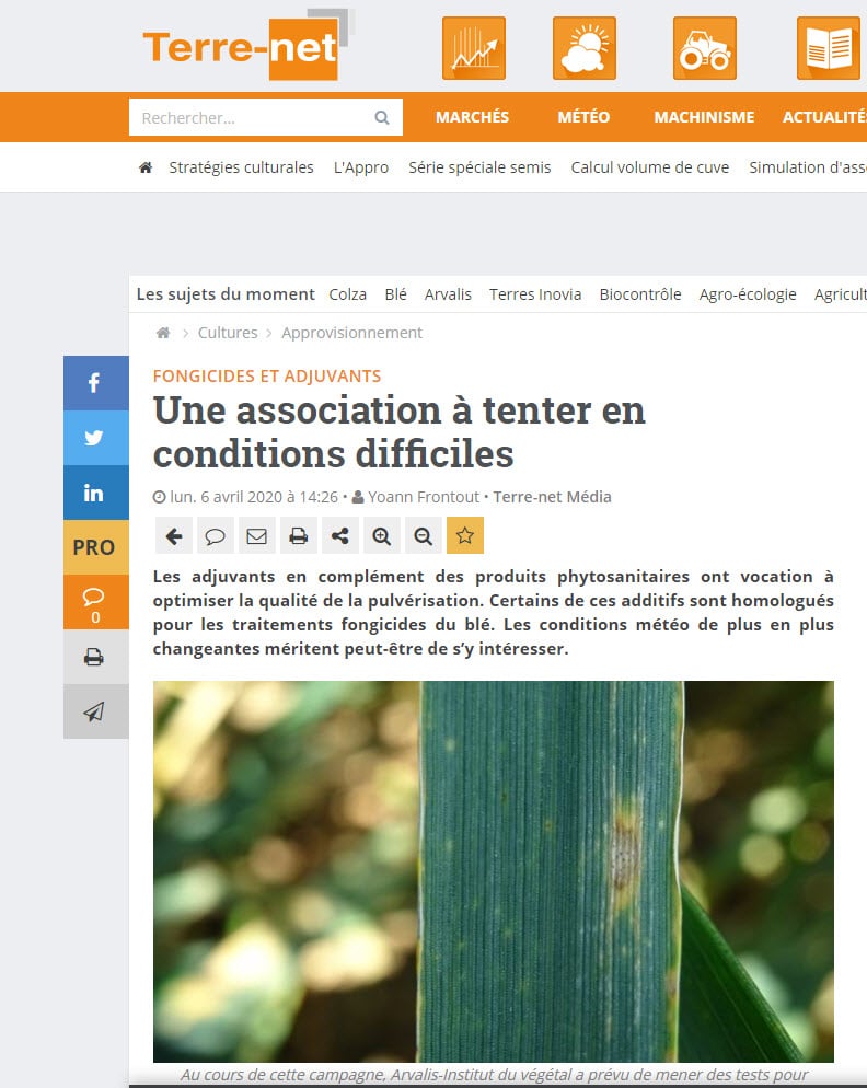 De Sangosse dans le presse