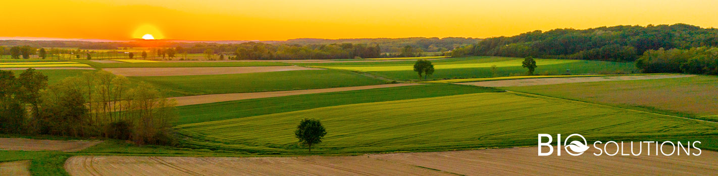 BioSolutions DE SANGOSSE