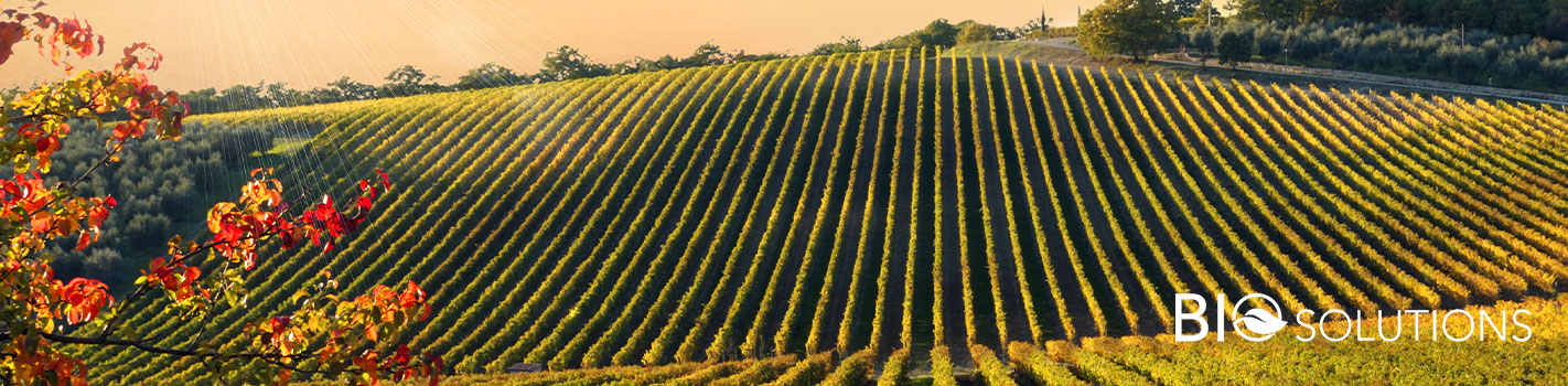 Les Fermes BioSolutions DE SANGOSSE