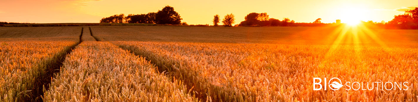 BioSolutions Grandes Cultures DE SANGOSSE