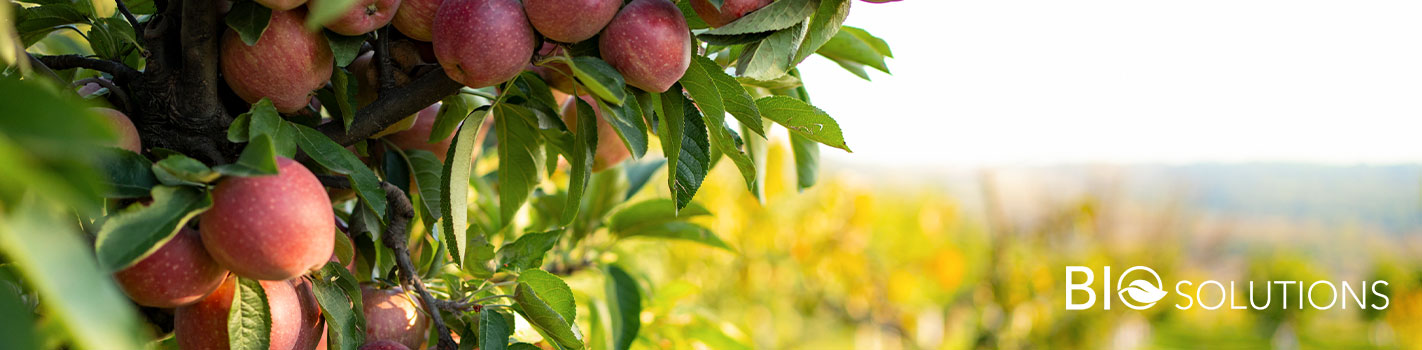 BioSolutions Arbo DE SANGOSSE