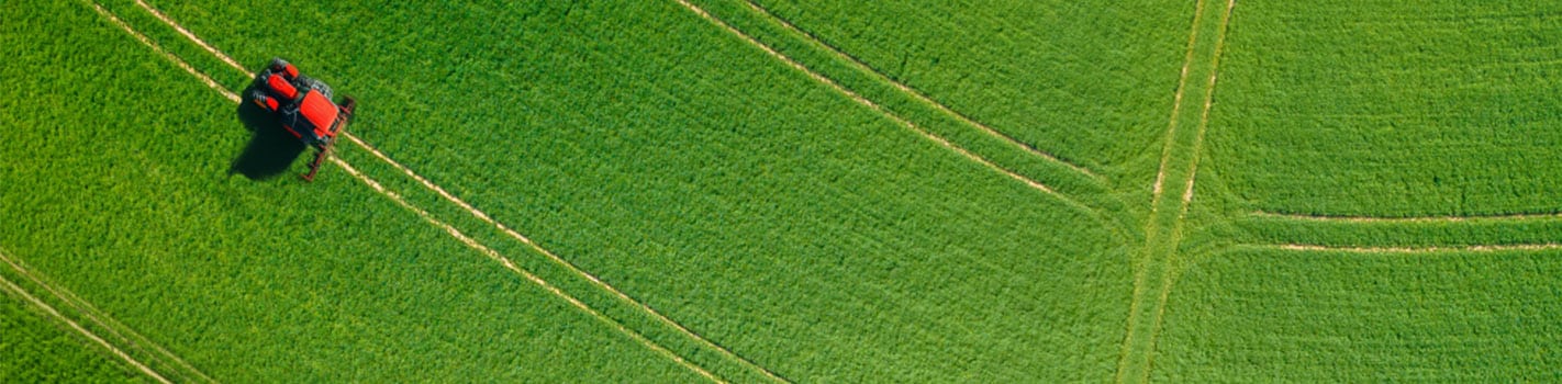 Phytothérapie agricole DE SANGOSSE