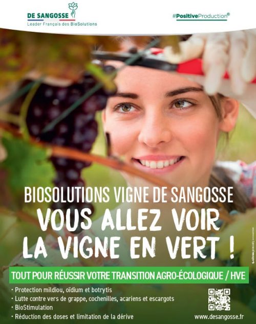 biosolutions-vigne-de-sangosse-2
